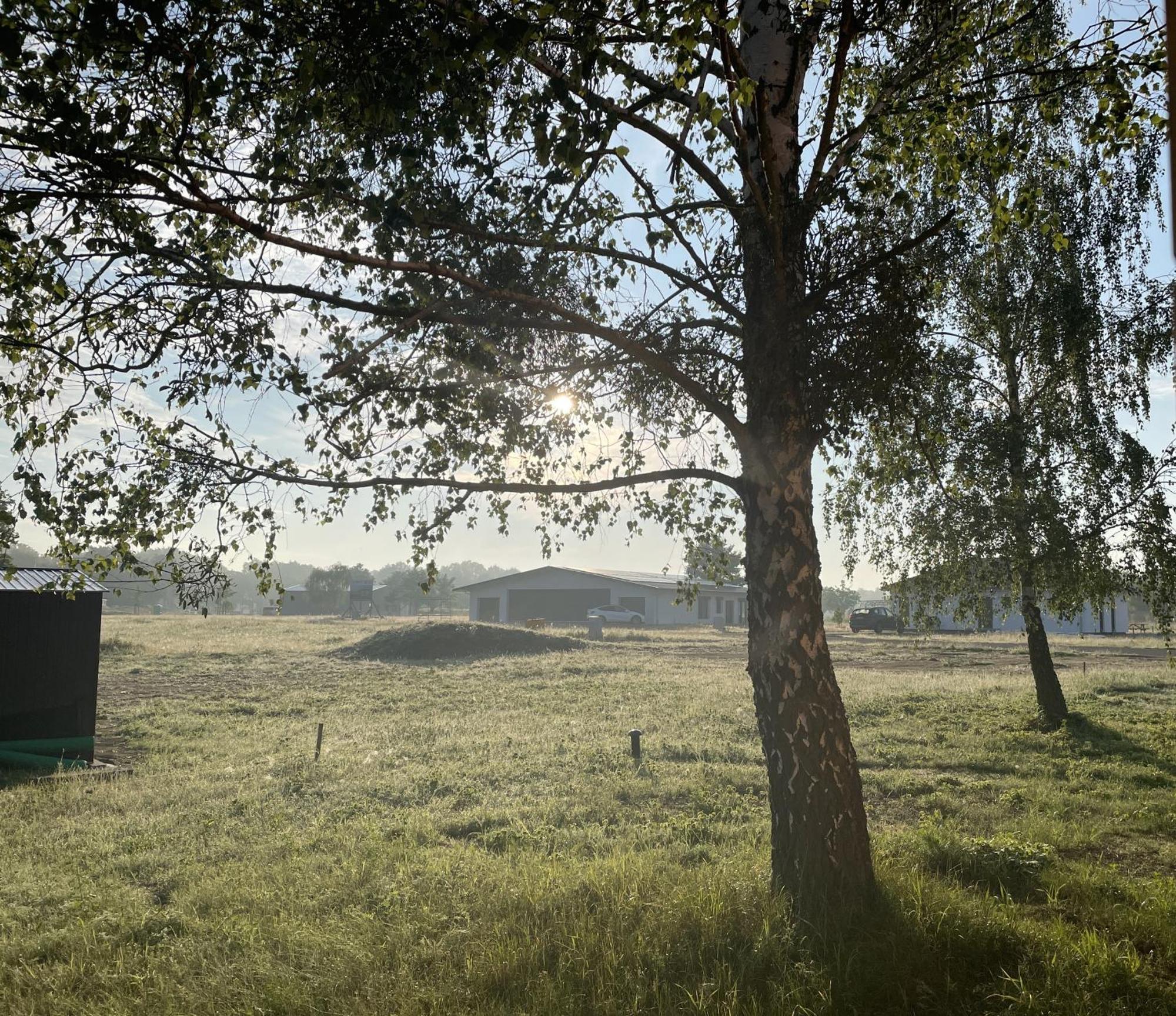 Airpark Ranch Villa Larz ภายนอก รูปภาพ